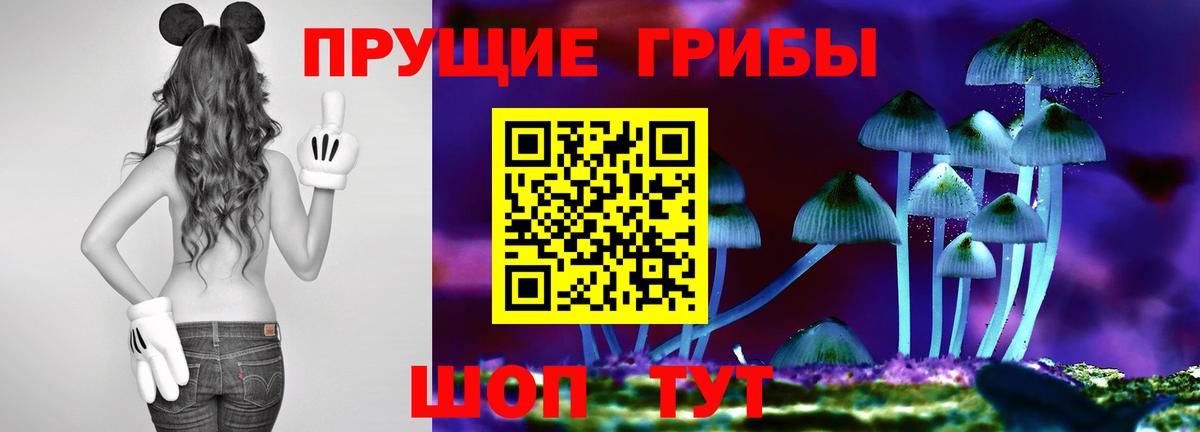 Галлюциногенные грибы GOLDEN TEACHER  Псилоцибиновые грибы мицелий  Вход с VPN  Великий Устюг 